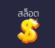 ONEPLAY