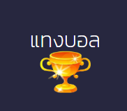 ONEPLAY